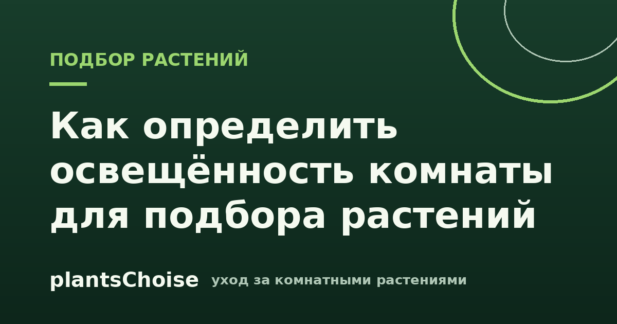 Брендовая обложка статьи: рука отбрасывает тень на подоконник с комнатным растением — простая оценка освещённости