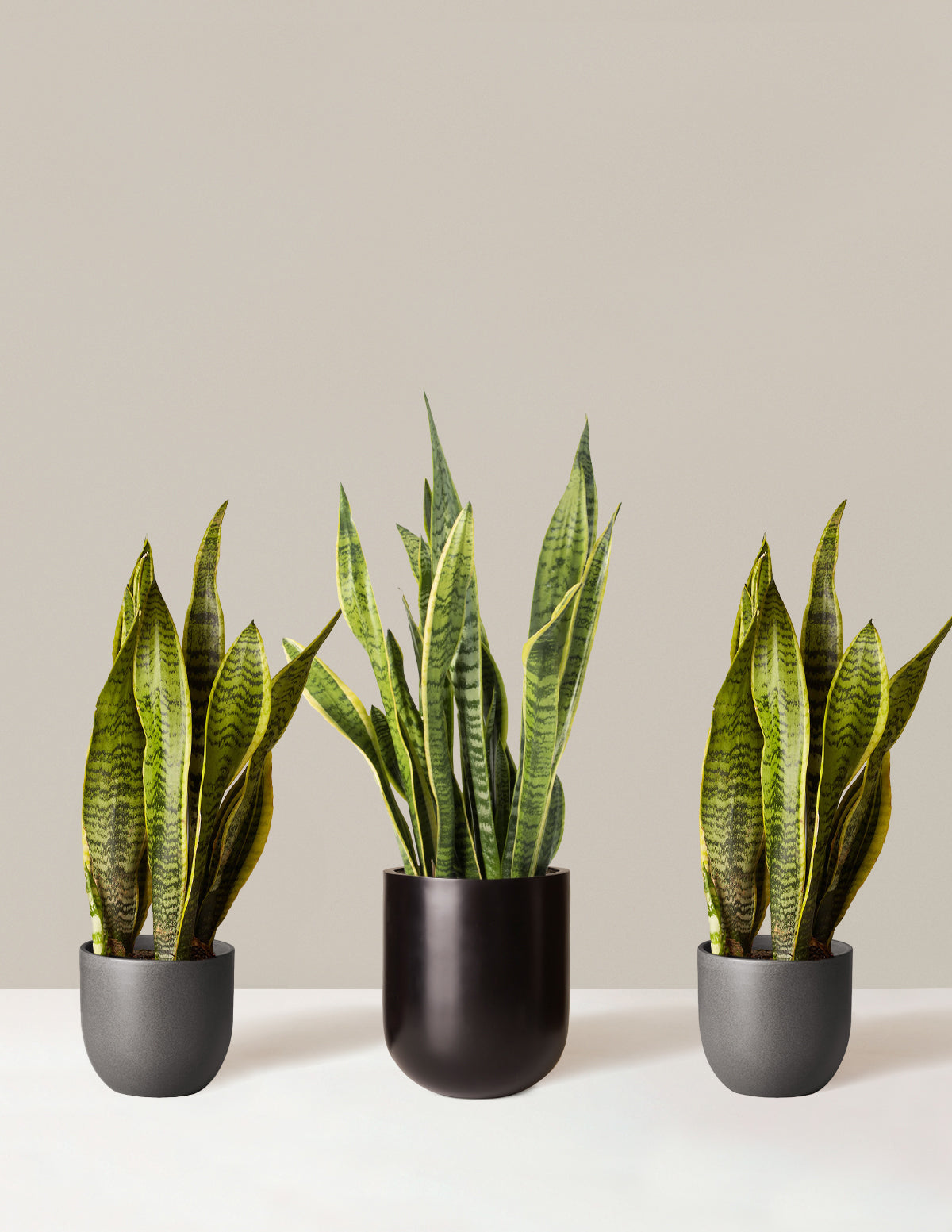 Трио для очистки воздуха