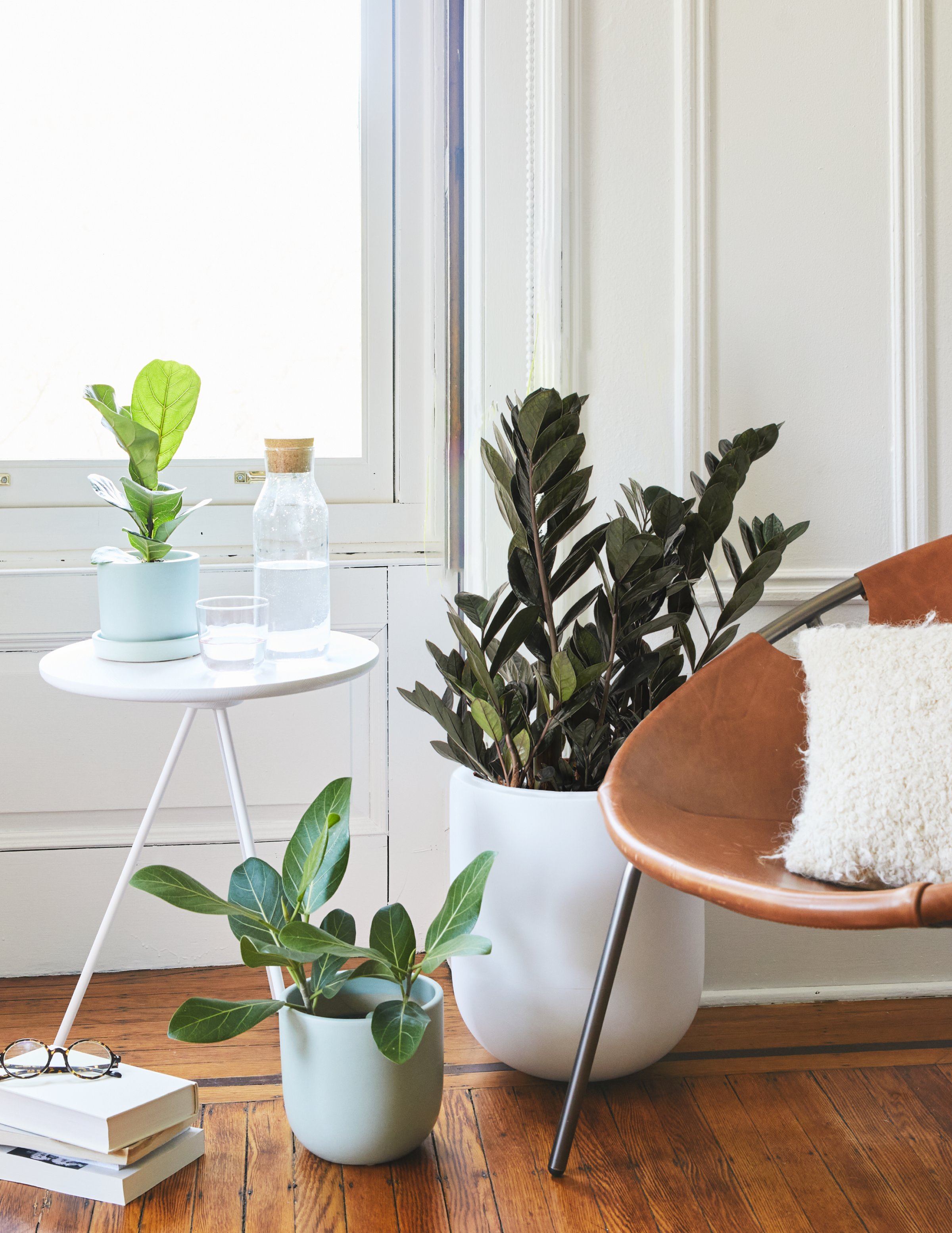 Черный завод ZZ