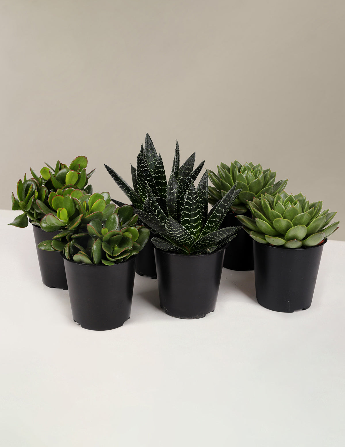 Сочный набор для вечеринки