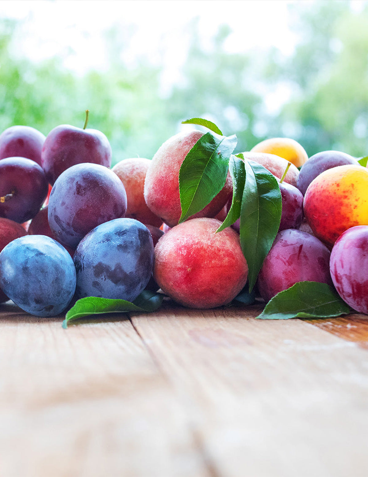 Фруктовое коктейльное дерево