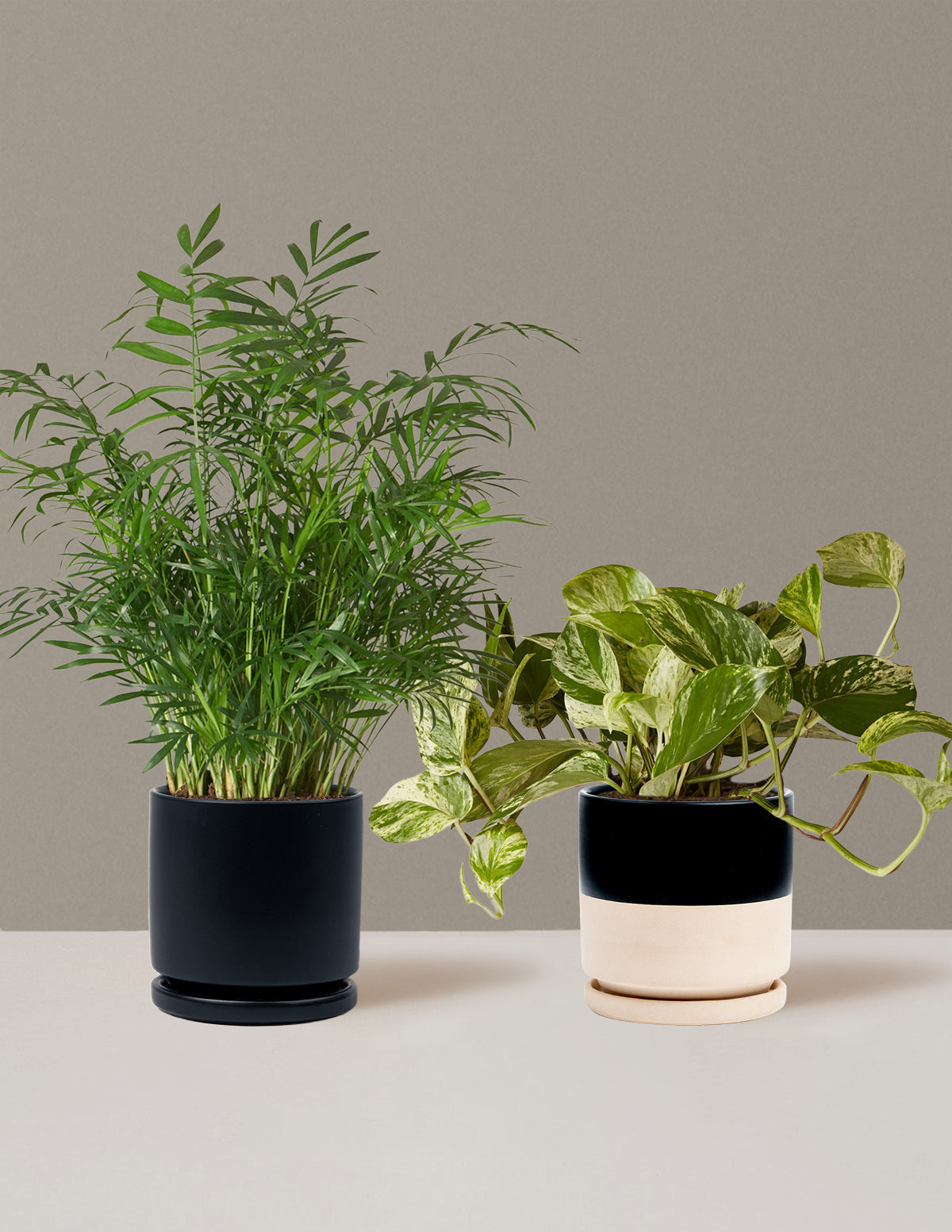 Новоселье дуэт