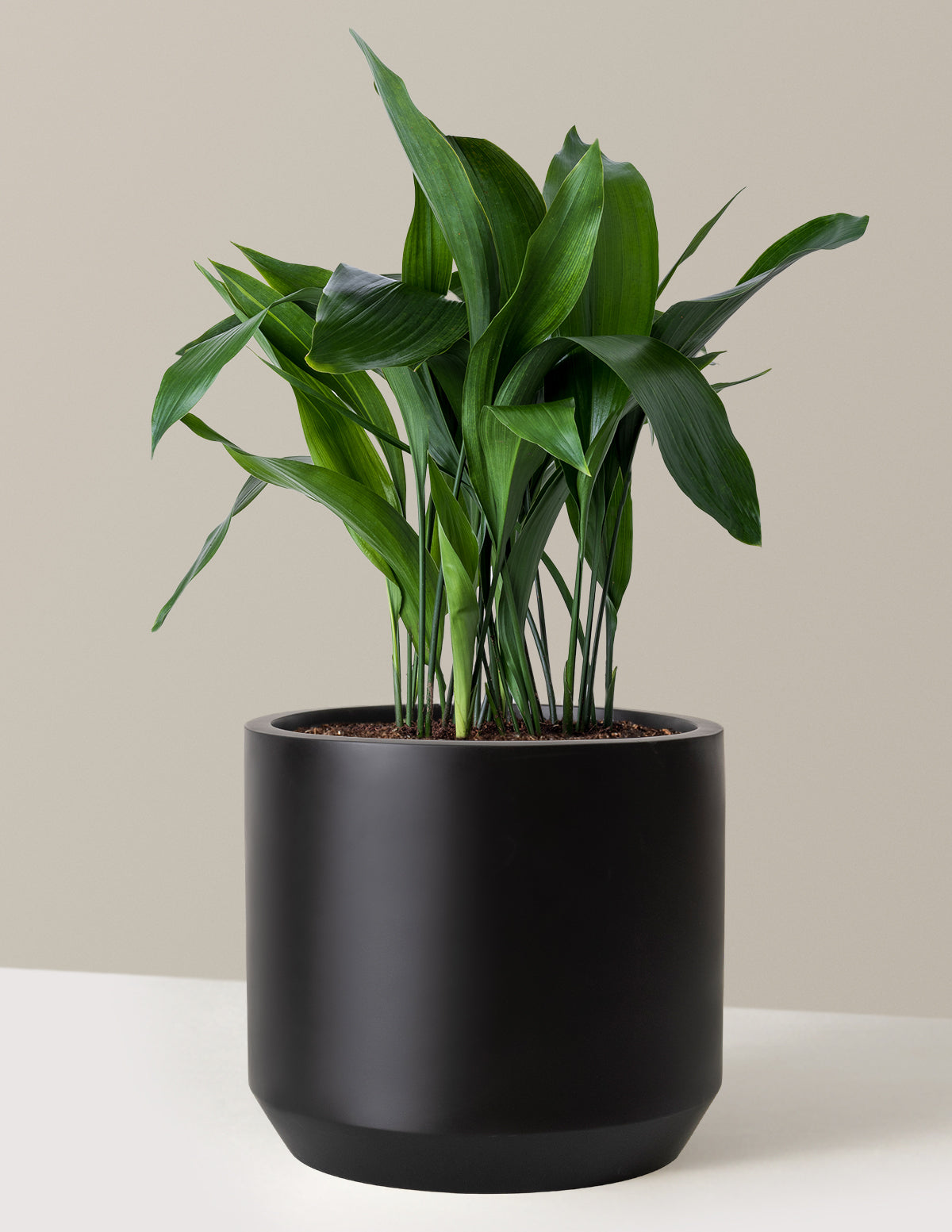 Большой чугунный завод