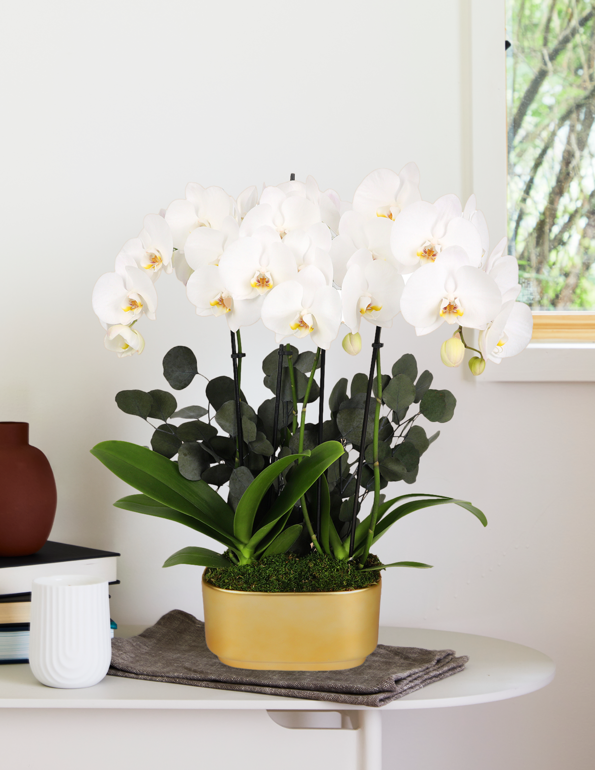 Большая двойная орхидея