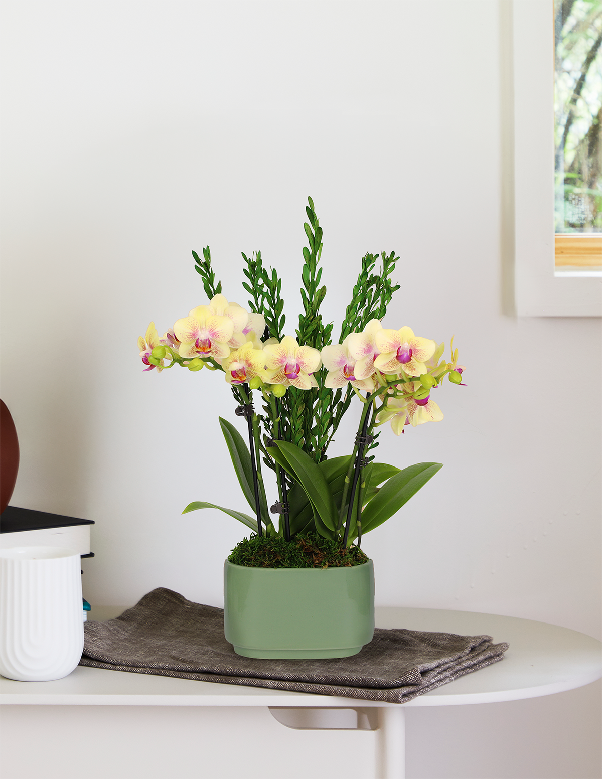 Маленькая двойная орхидея