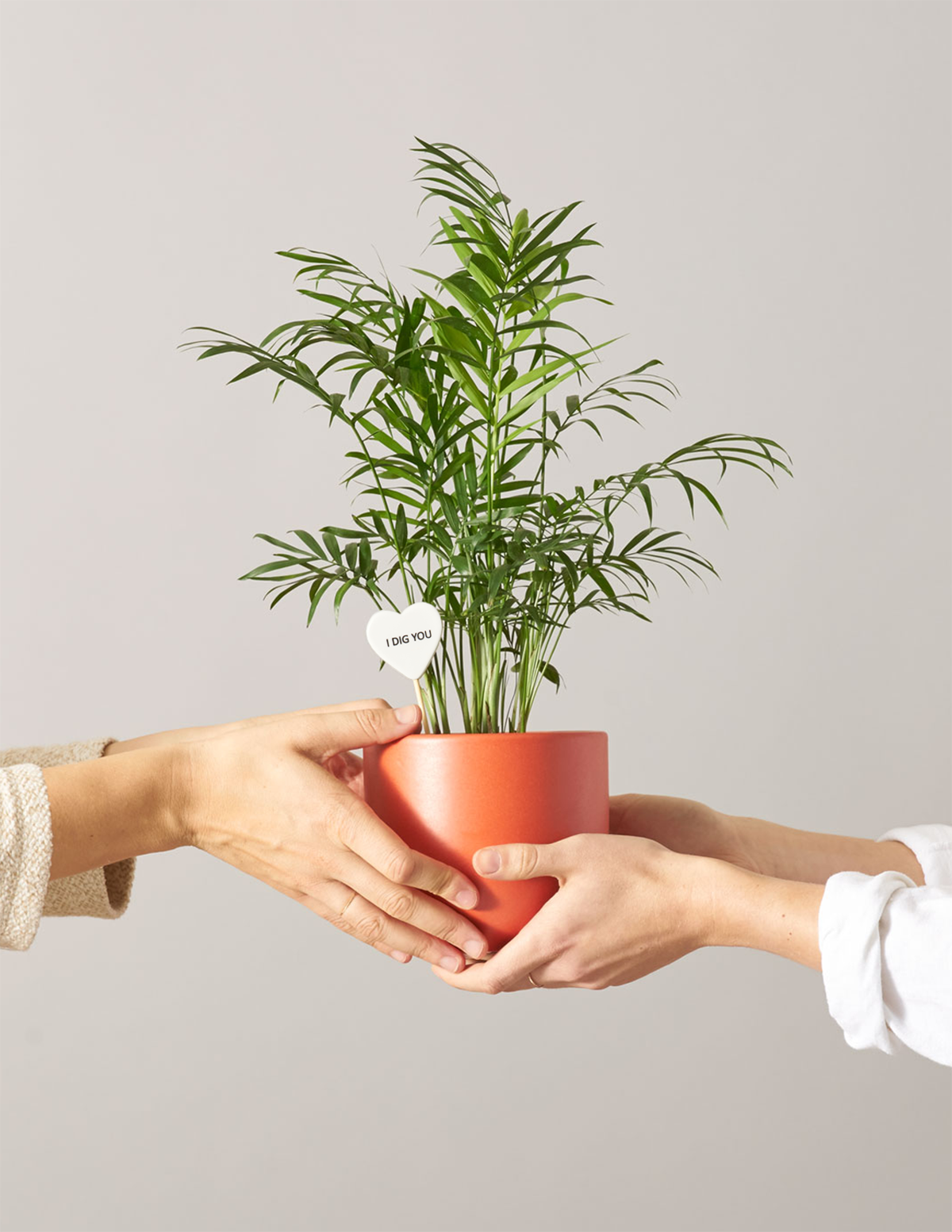 Салон Пальма