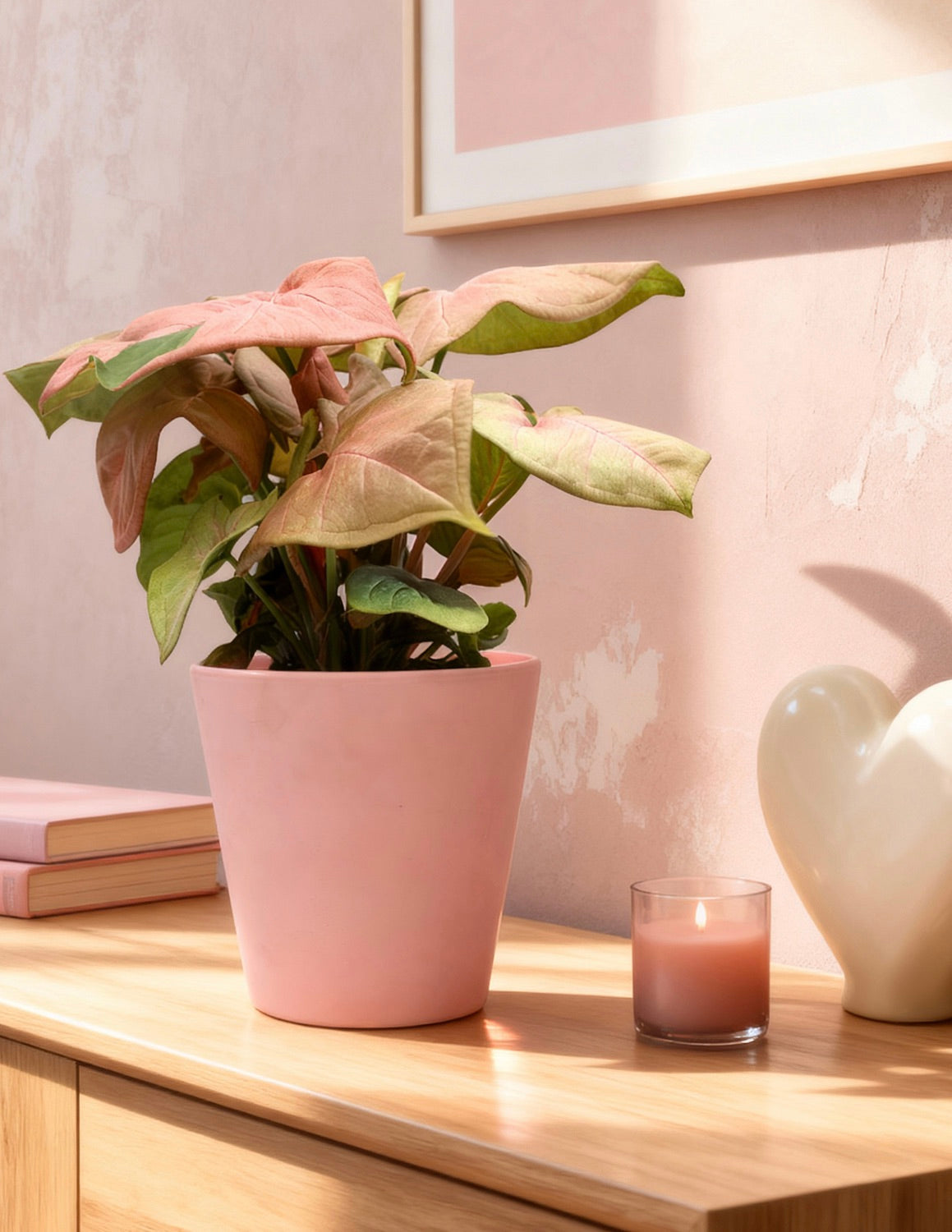 Растение «Розовая стрела»