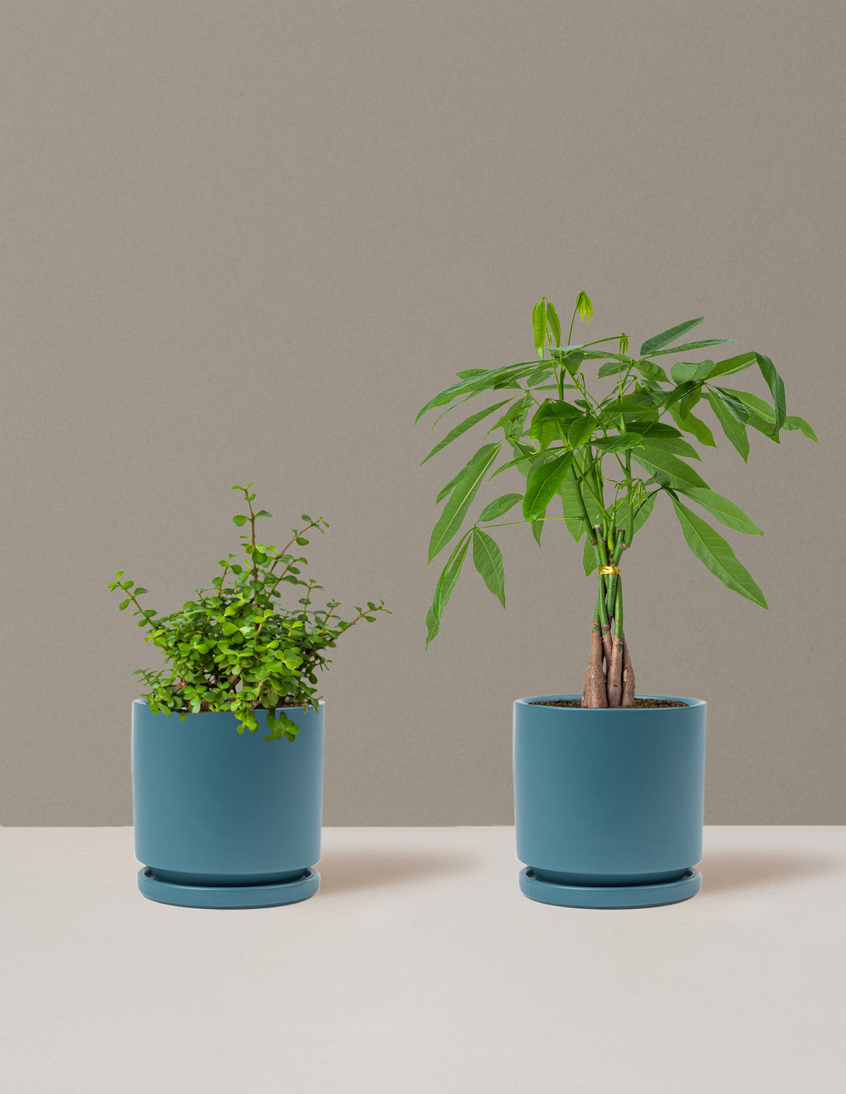 Процветание Дуэт