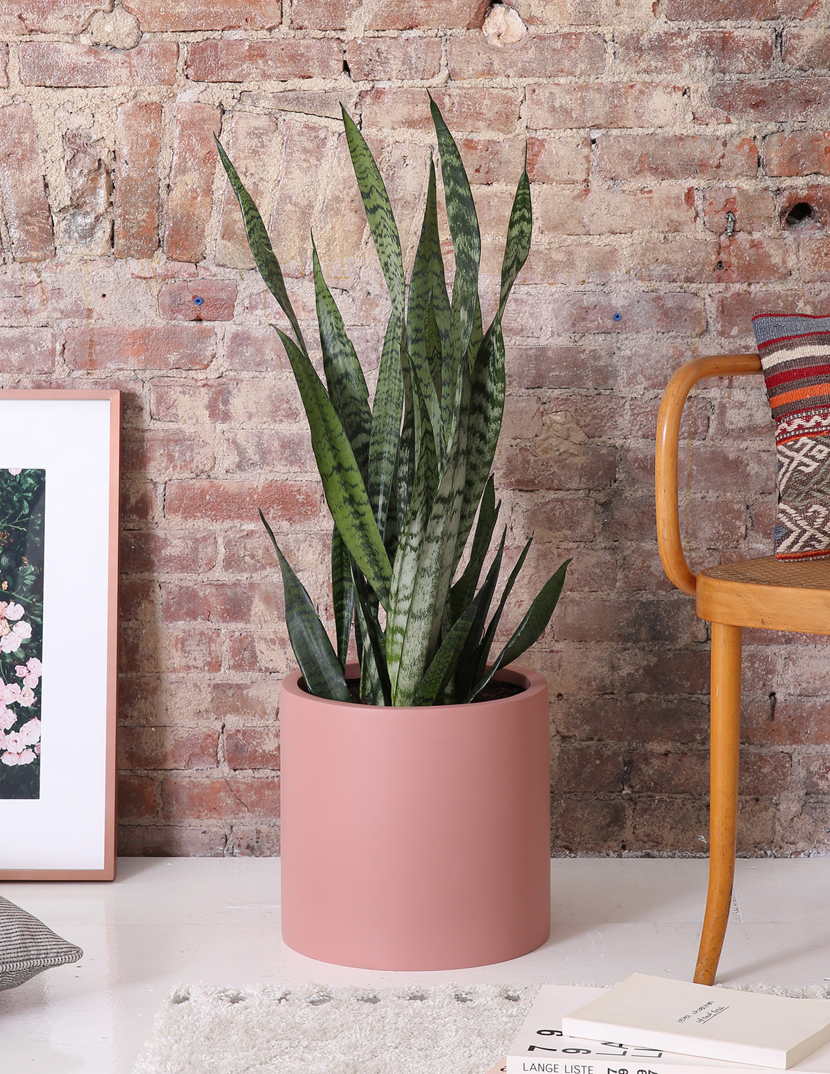 Змеиный завод Зейланица