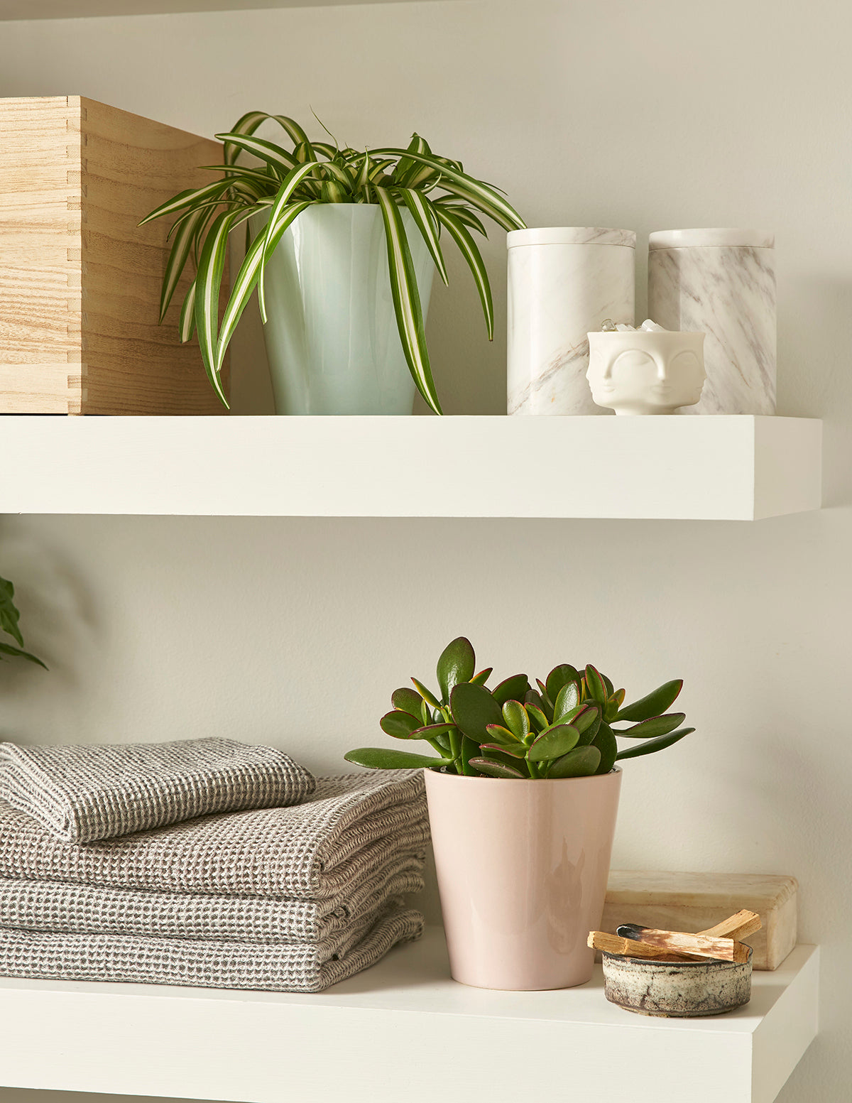 Закат Джейд