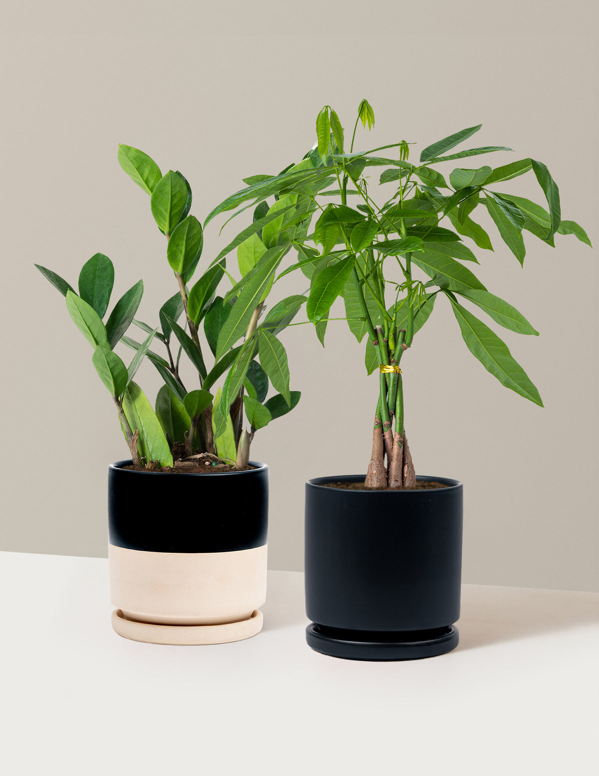 Дуэт «Легкий уход»