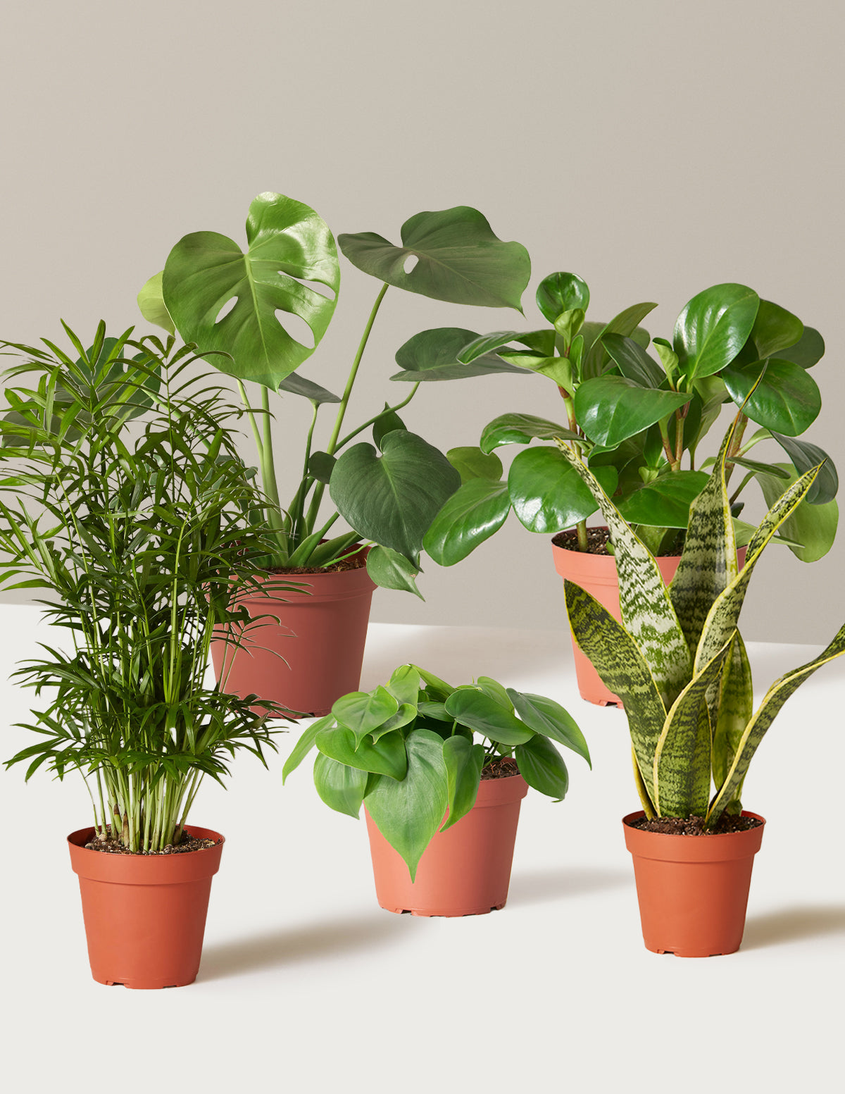 Набор «Любимая пятерка»