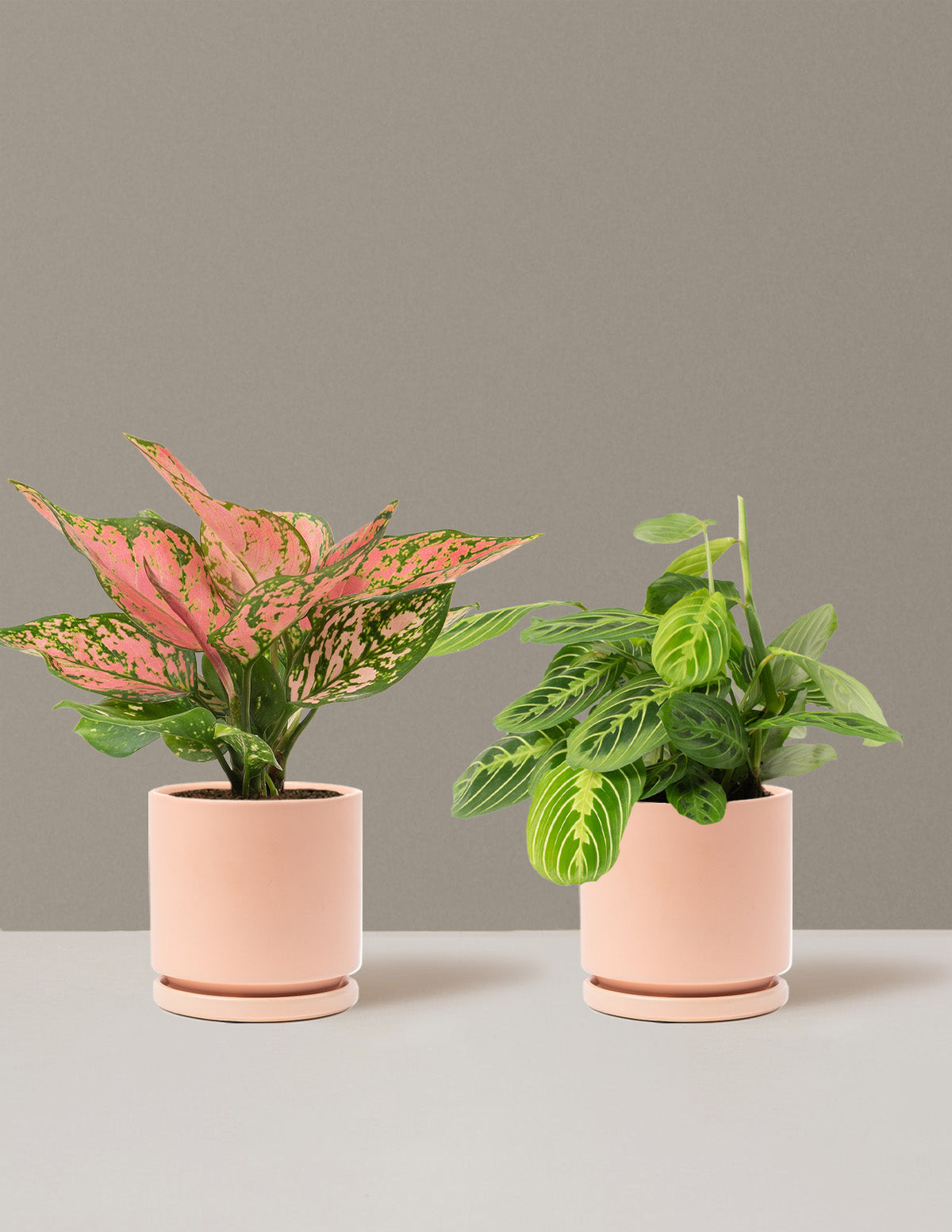 Дуэт добрых пожеланий